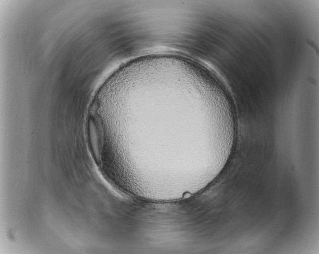 X0000099971429200806131522