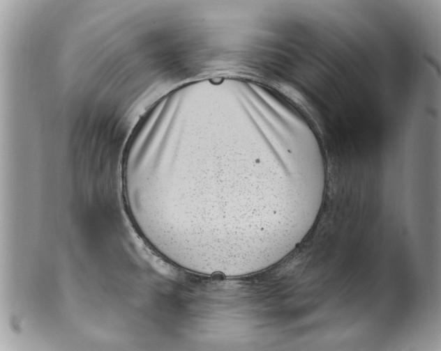 X0000099971431200806131522