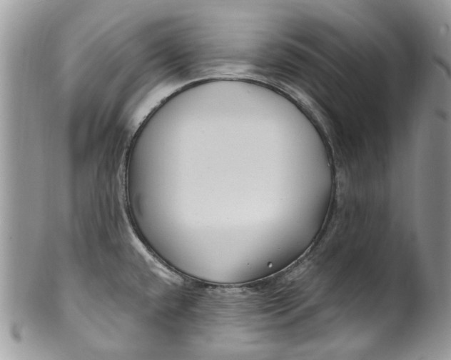 X0000099971432200806131522