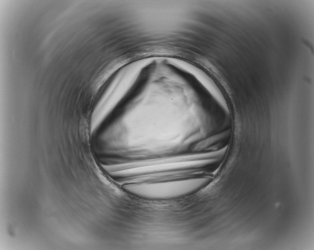 X0000099971433200806131522