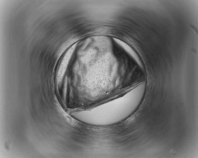 X0000099971434200806131522