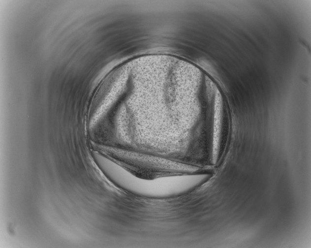 X0000099971436200806131522