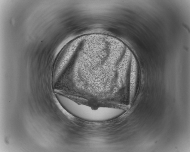 X0000099971438200806131522