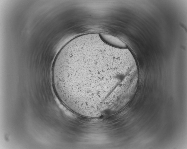 X0000099971439200806131522