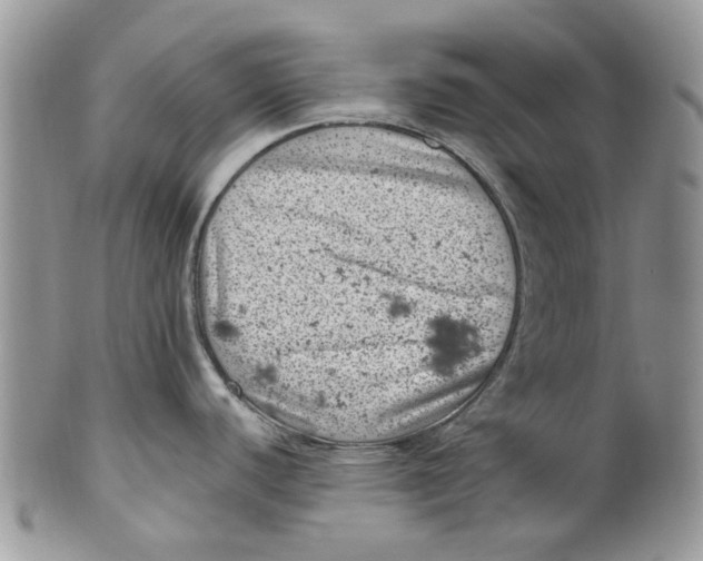 X0000099971440200806131522