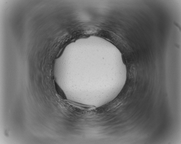 X0000099971441200806131522