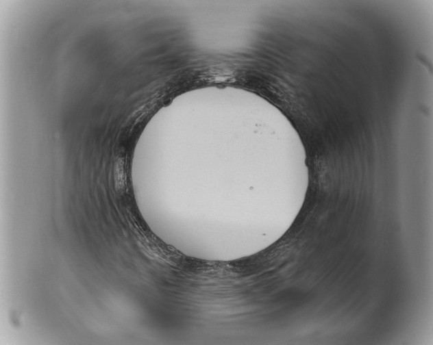 X0000099971442200806131522