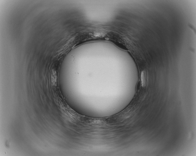 X0000099971443200806131522