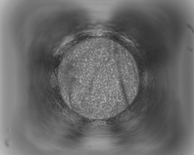 X0000099971446200806131522