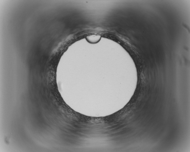 X0000099971447200806131522