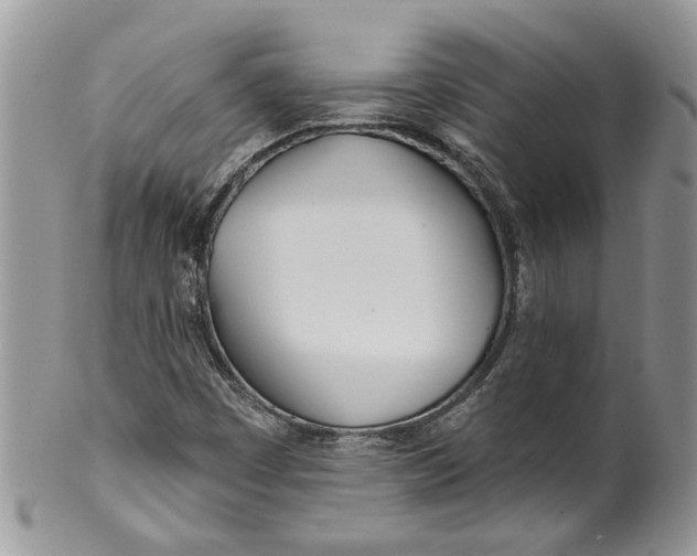 X0000099971449200806131522