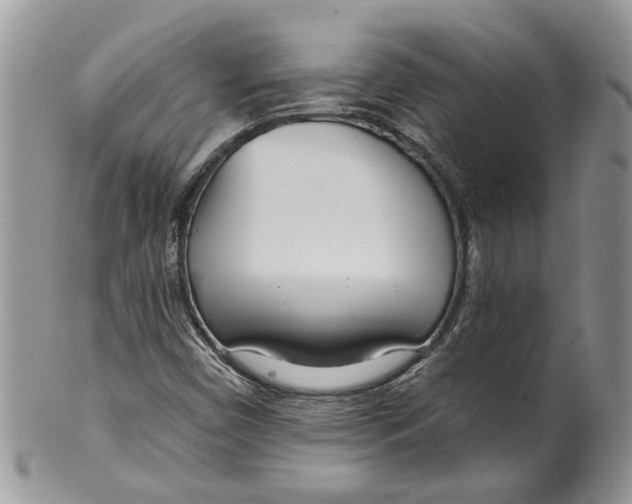 X0000099971450200806131522