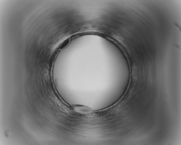 X0000099971452200806131522