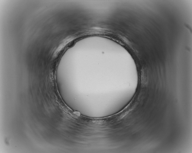 X0000099971453200806131522