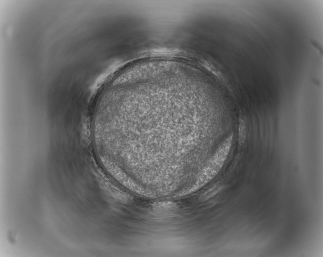 X0000099971454200806131522