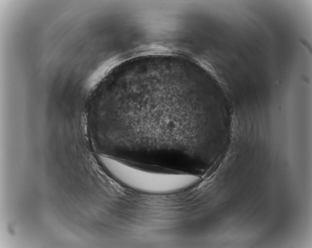 X0000099971455200806131522