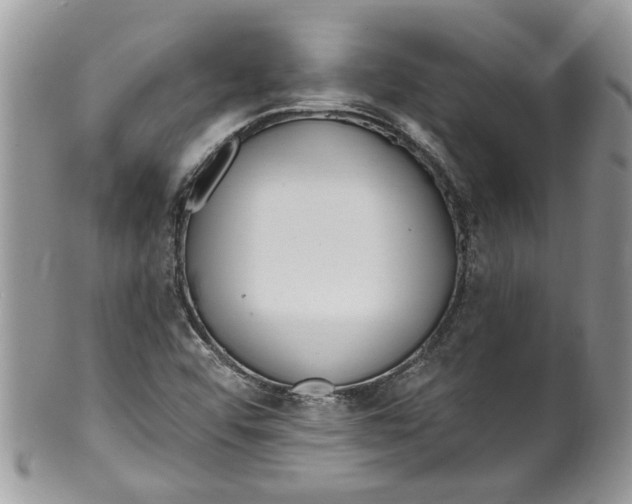 X0000099971456200806131522