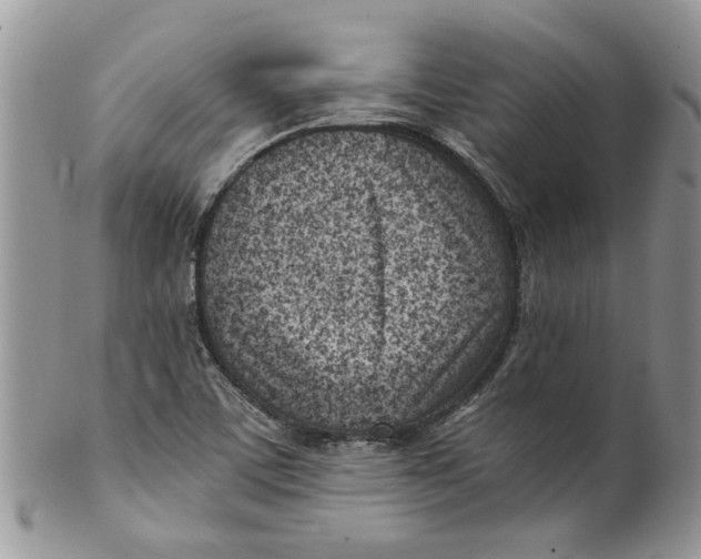 X0000099971459200806131521