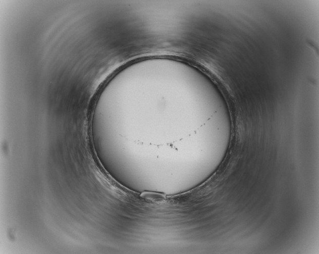 X0000099971460200806131521