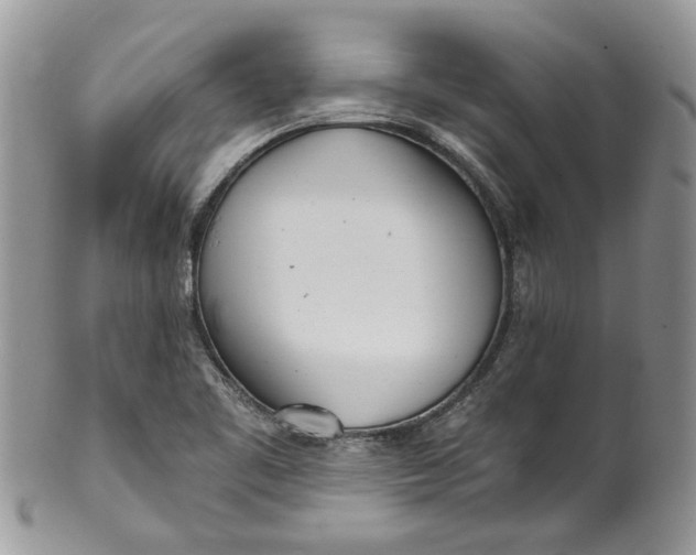 X0000099971461200806131521