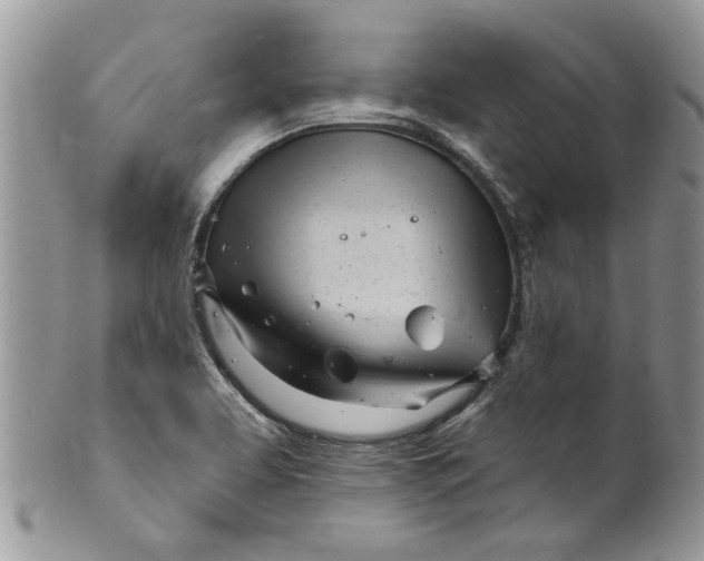 X0000099971463200806131521