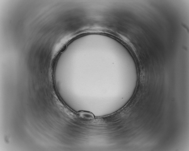 X0000099971464200806131521