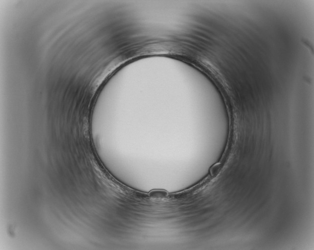 X0000099971465200806131521