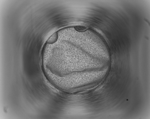 X0000099971467200806131521