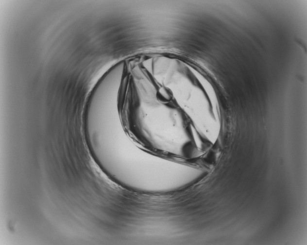 X0000099971468200806131521