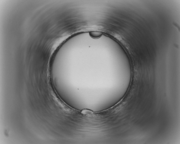 X0000099971469200806131521