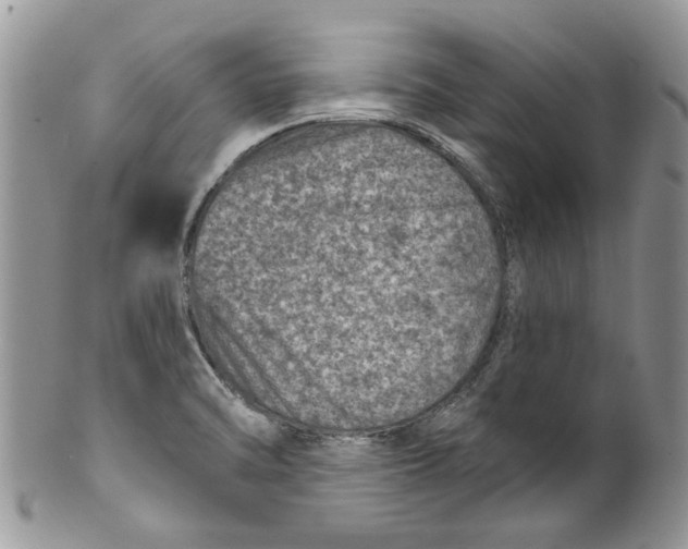 X0000099971470200806131521