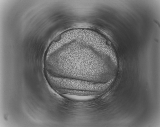 X0000099971471200806131521