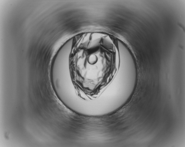 X0000099971472200806131521