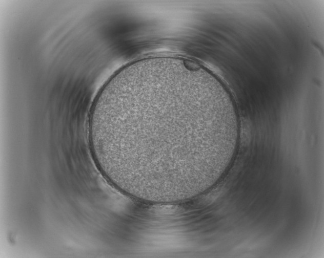 X0000099971474200806131521