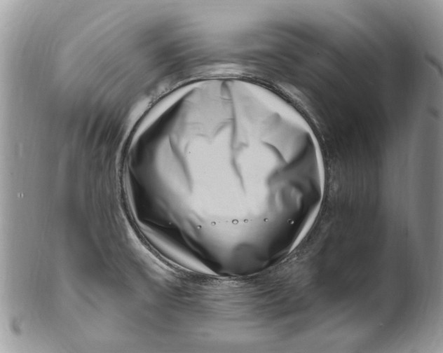 X0000099971475200806131521