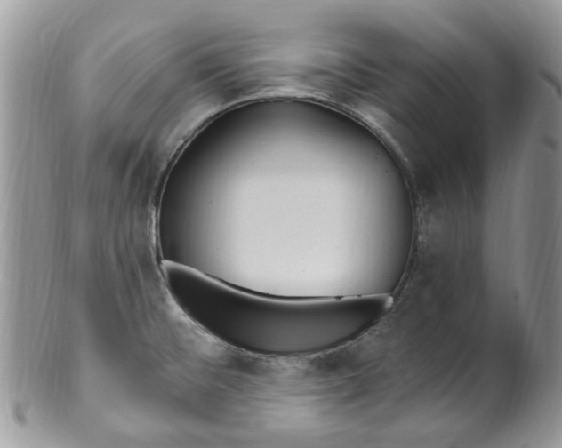 X0000099971476200806131521