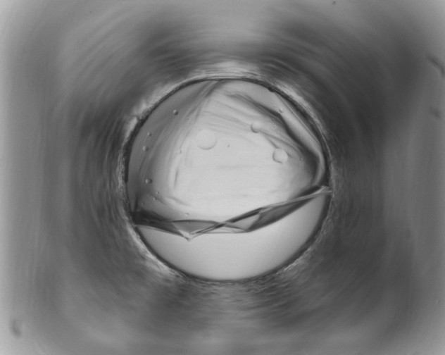 X0000099971477200806131521