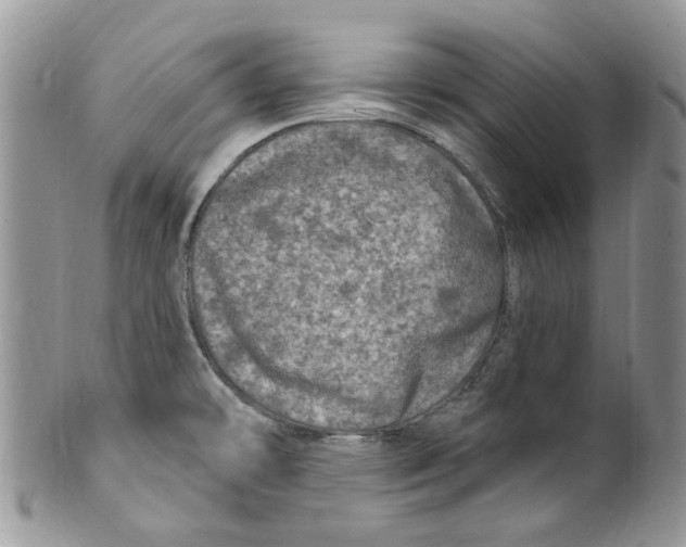 X0000099971478200806131521