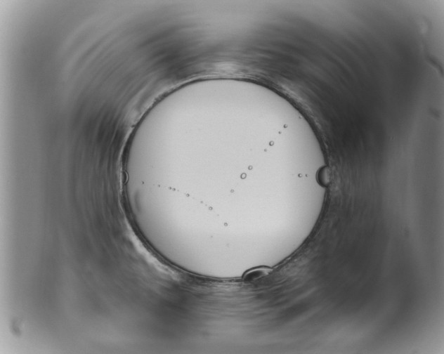 X0000099971479200806131521