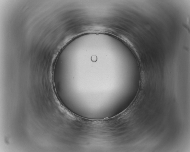 X0000099971480200806131521