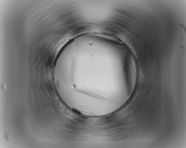 X0000099971481200806131521