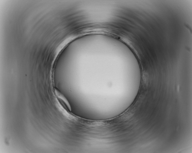 X0000099971482200806131521