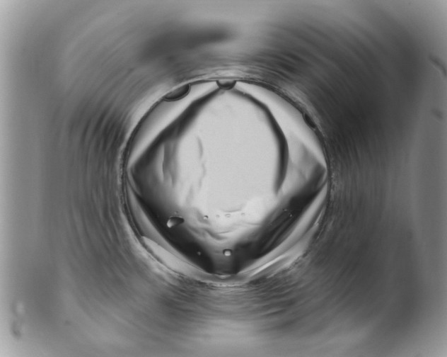 X0000099971483200806131521