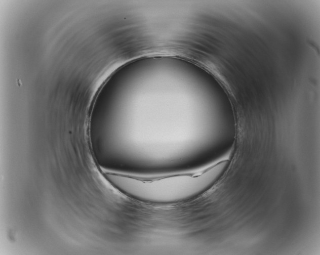 X0000099971484200806131521