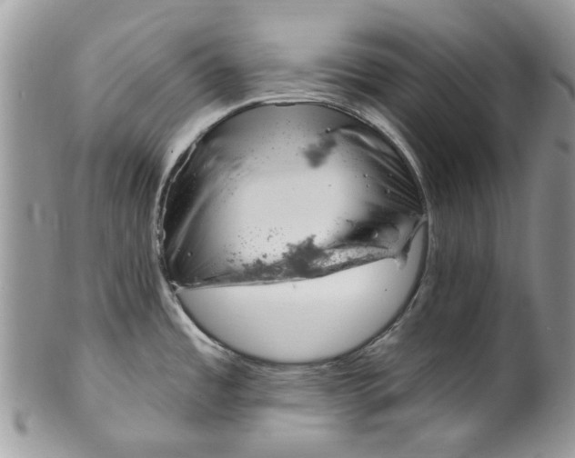 X0000099971485200806131521