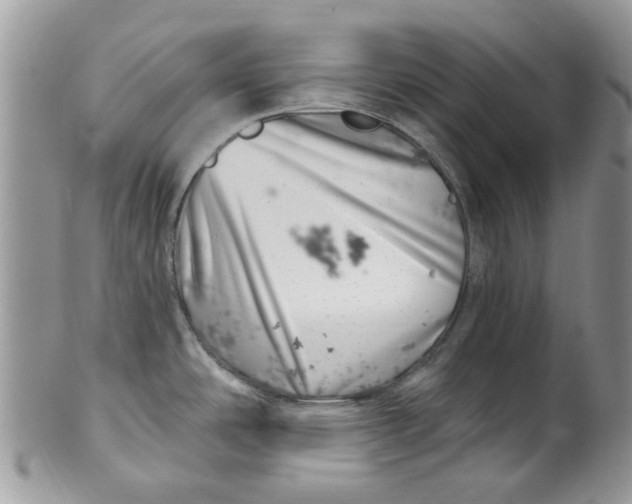 X0000099971486200806131521