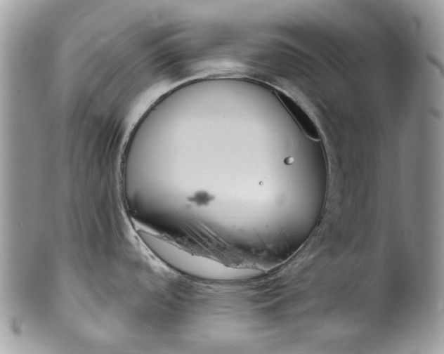 X0000099971488200806131521