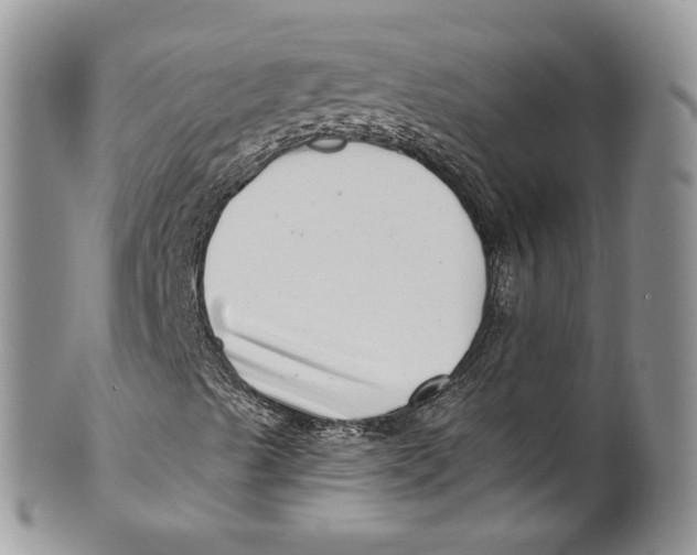 X0000099971489200806131520