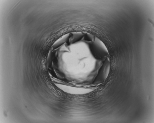 X0000099971490200806131520