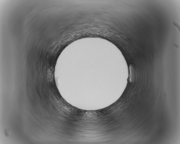 X0000099971491200806131520